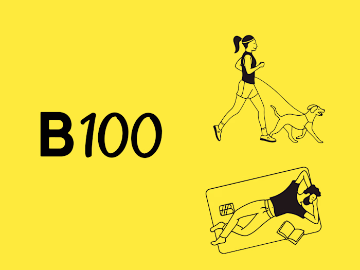 Brand and illustrations for B100