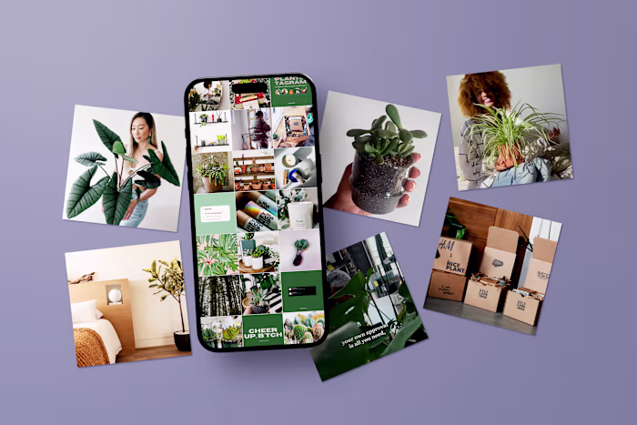 Influencer Partnership Triumph