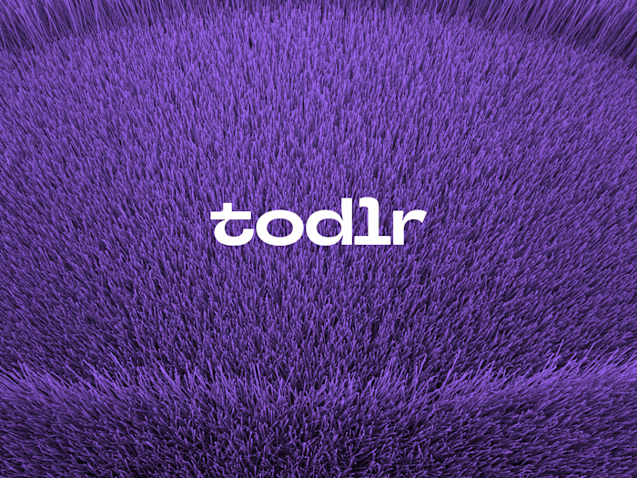 Brand Design for Todlr