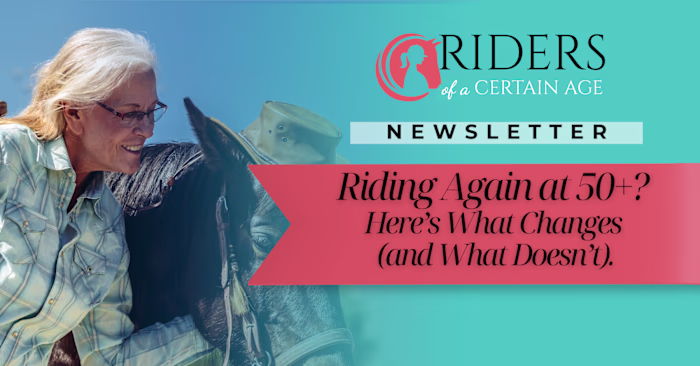 Professional Canva Designed Newsletter Banners for Campaigns