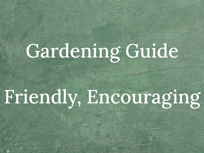 Setting the tone for an educational guide to gardening