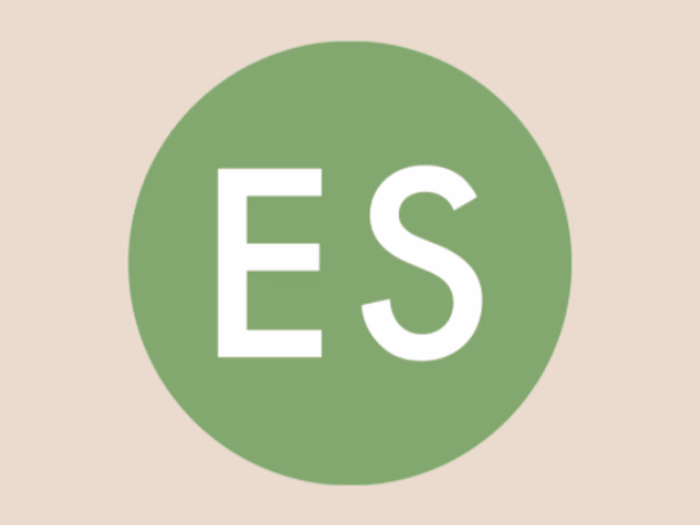 Eco-Stylist - Organic Social Media Growth Case Study