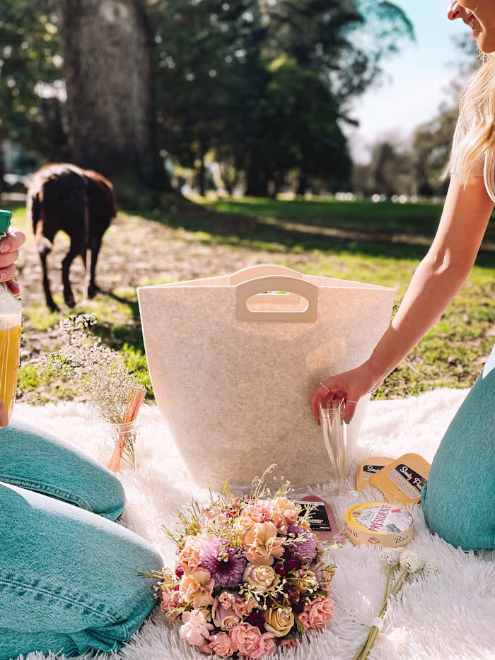 Integrated Social Media Management Strategy & Digital Marketing