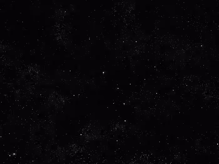 Visual Identity for Nature Bloom