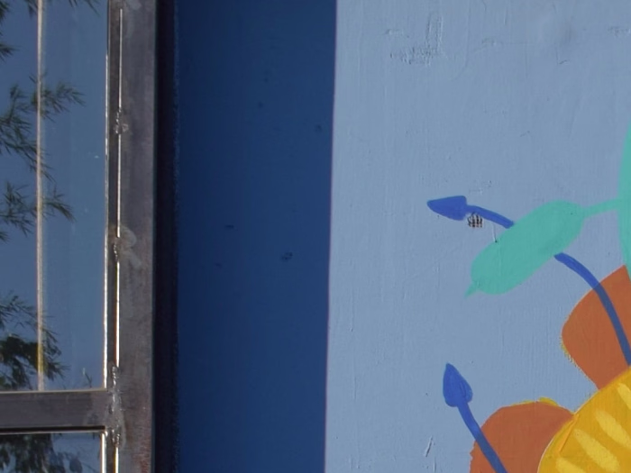 Web Content for Magazine