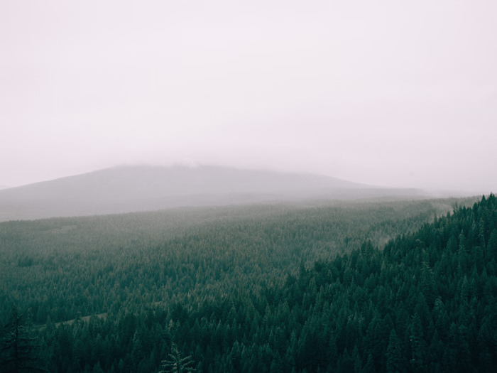 Copywriting for nonprofit technology and fundraising blog (3)