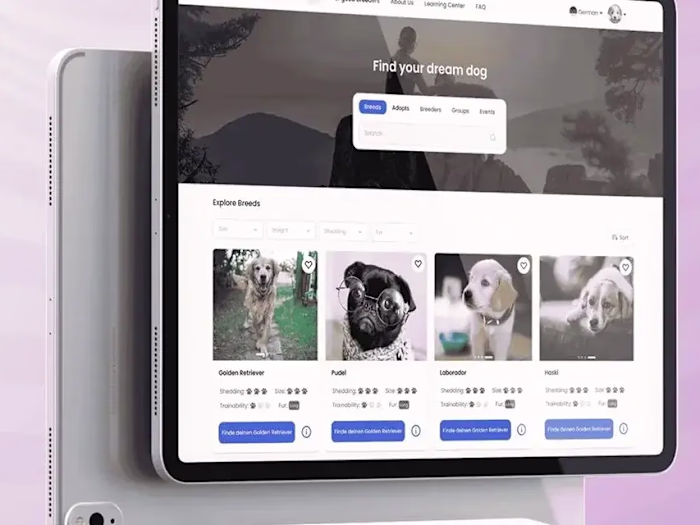 HONEST DOG - Case Study