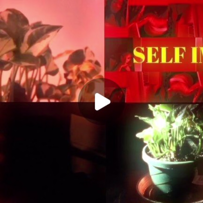 Cinematography compilation 