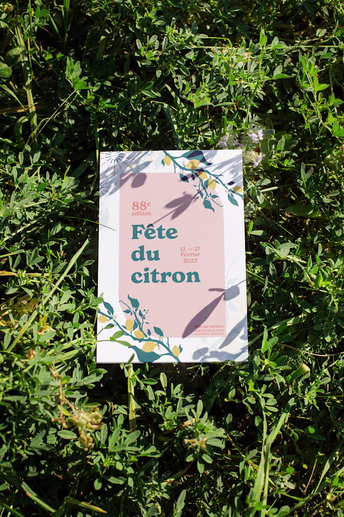 Fête du citron | Poster, brochure & bracelet design