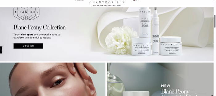 I developed this custom e-commerce