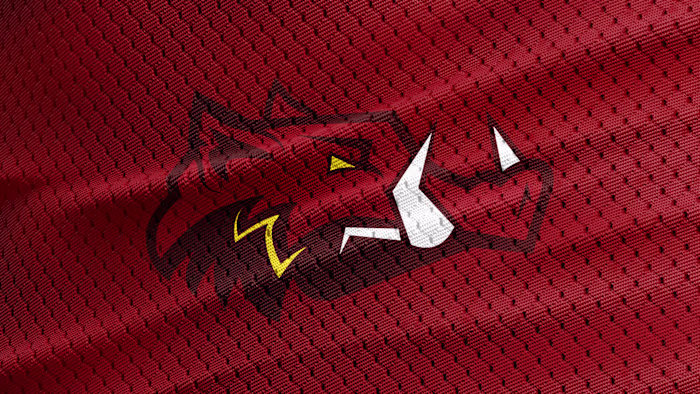 Washington Warthogs - Commanders Redesign 