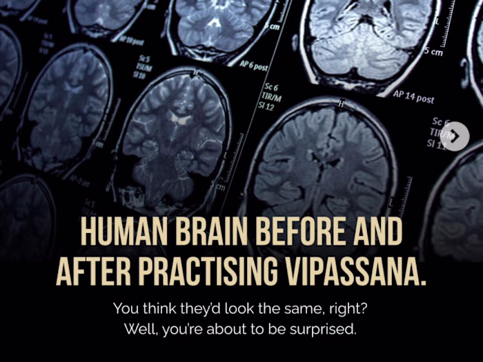 Six months deep into building something I can't stop thinkin...