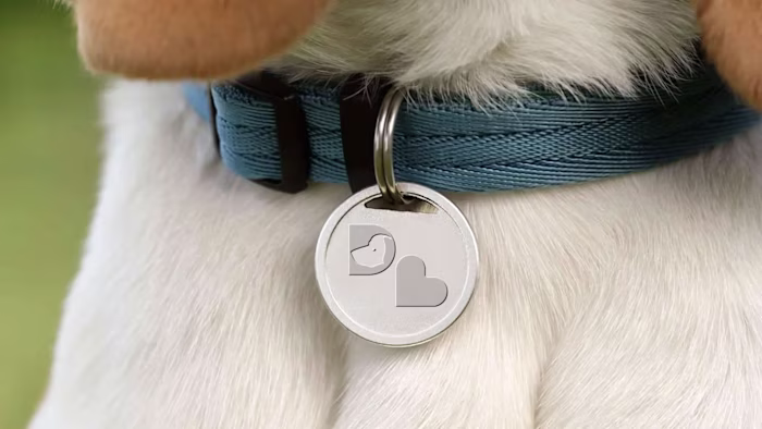 Logo Design: Dog Love