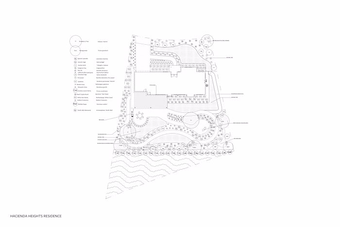 Conceptual plans