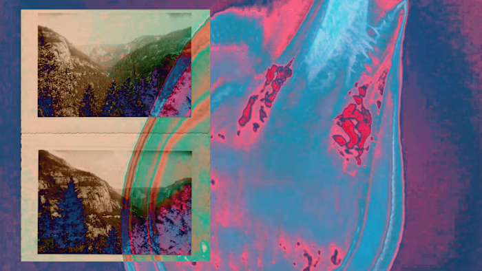 Everdross – Retelling luxury