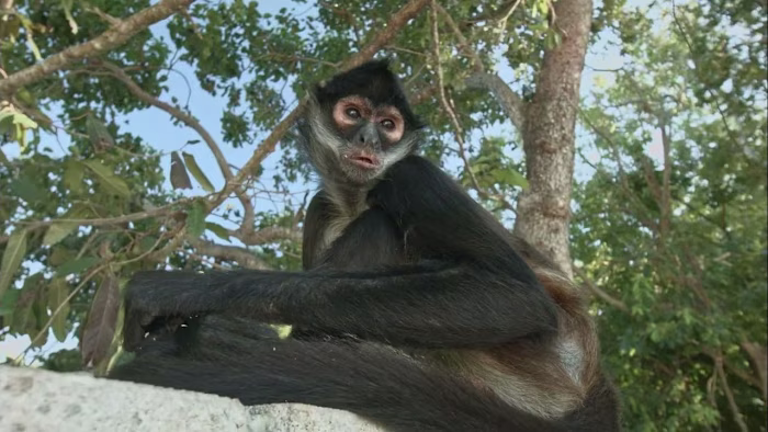 Doc/Wildlife/Event reel 2024 - YouTube