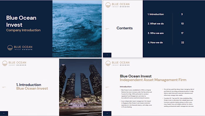 Company Profile for a Singapore Fund Management Company