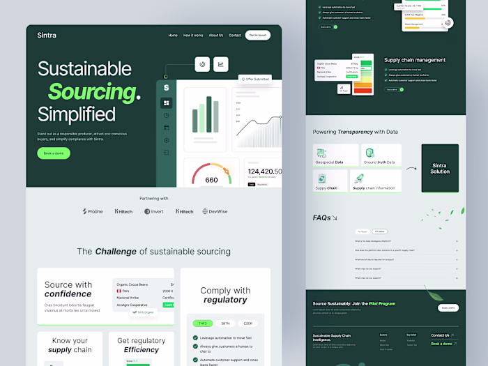 Sintra Website Design and Development