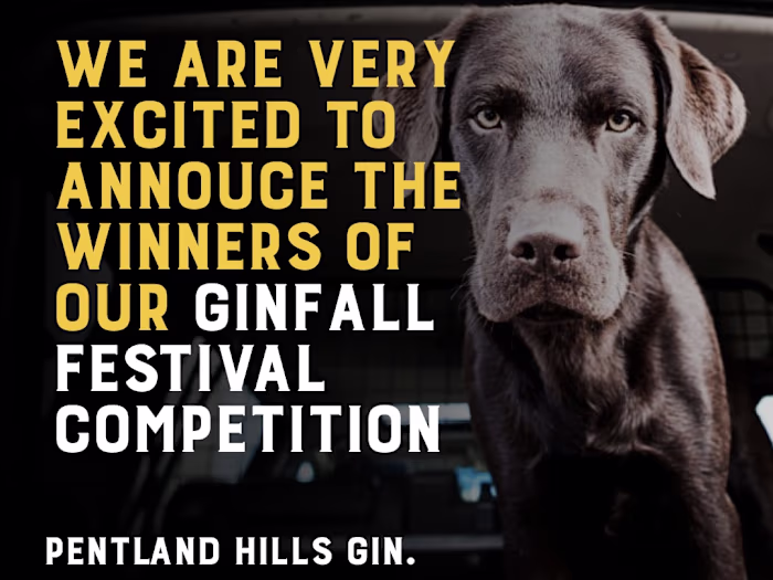 Various Social Media Work