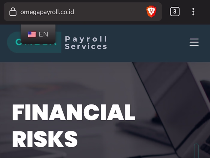 Website Development - omegapayroll.co.id
