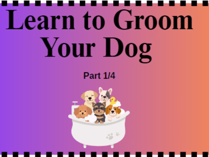 Learn to Groom Your Dog (Part 1/4): Short Coats