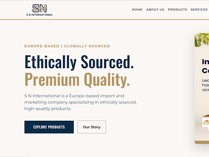 SN International Website Development