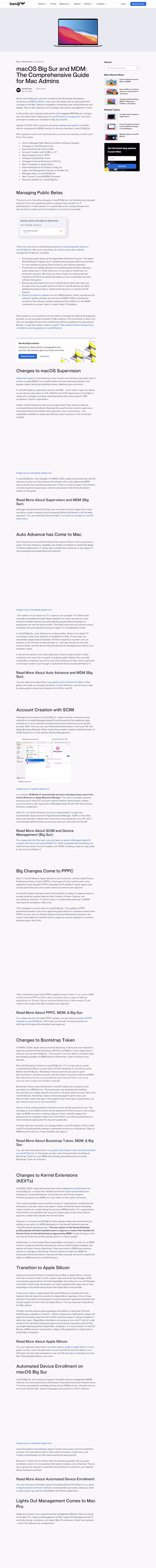 Irresistible Business Blog  (IT SaaS, Technical Writing)