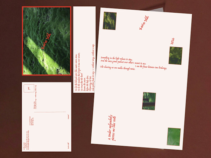 A booklet design, accompanying his