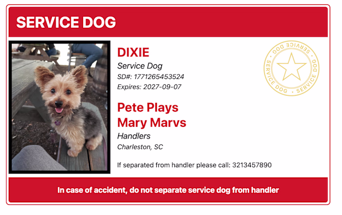 This ID card design demonstrates