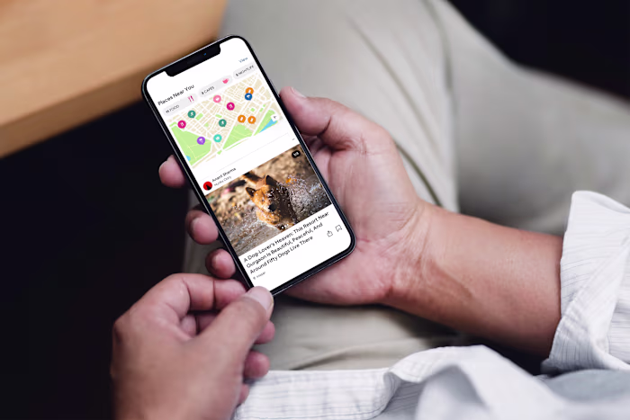 LittleBlackBook (Discovery App)
