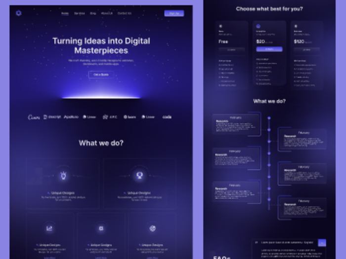 Saas Project Designer | website designer | UI/UX Expert