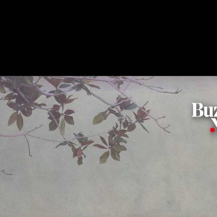 LA Hope Dealer Protest Art Installation - Social Media Video