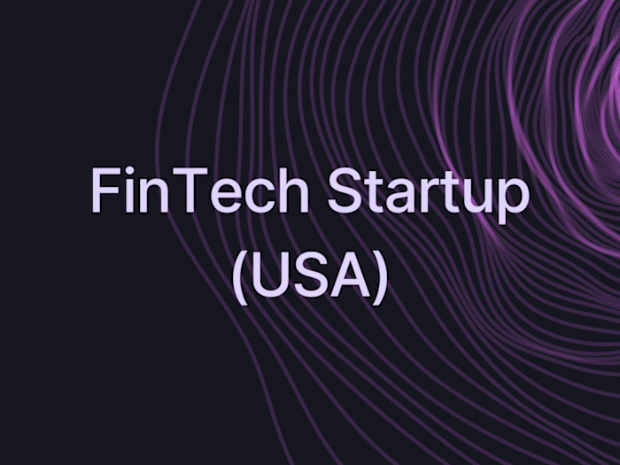 FinTech Startup (USA)