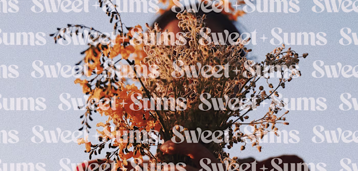 Sweet Sums 🍓 Brand Design