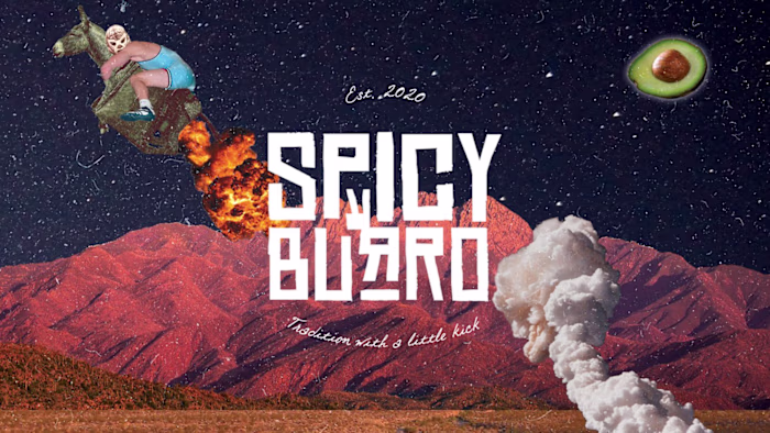 Spicy Burro - Fast Food Logo & Brand Design