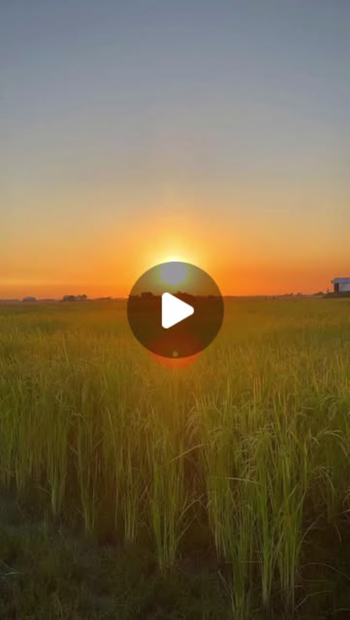 Social Media Video Editing