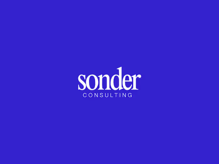 Sonder Consulting Brand Board