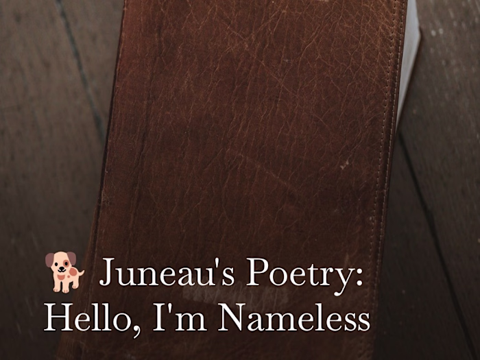 🐕 Juneau's Poetry: Hello, I'm Nameless