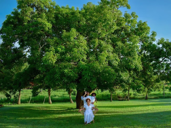" Pitit a manman " L’élégance d’une lignée de femmes créoles