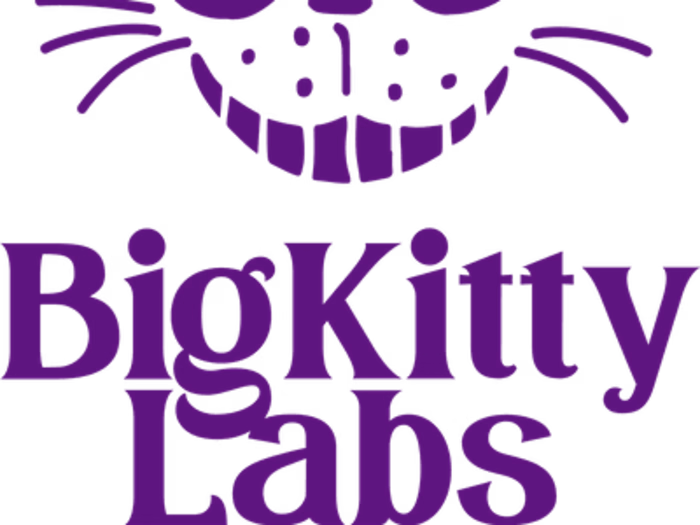 Government Procurement for BigKittyLabs 