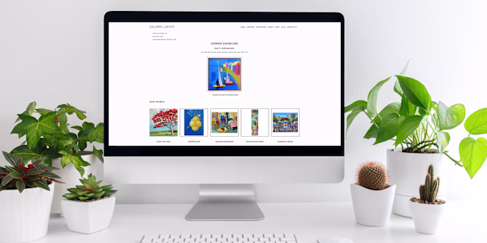 Galerie Lakaye | Social Media & Website Content Package 