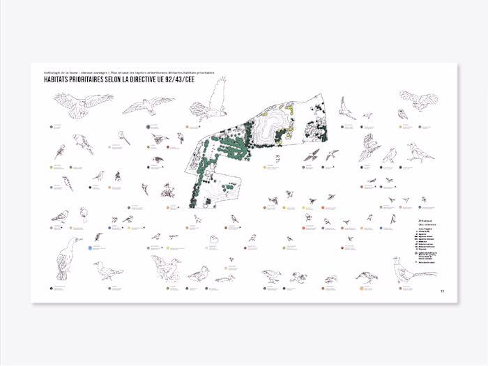 Anthology of wildlife: wild birds in priority habitats