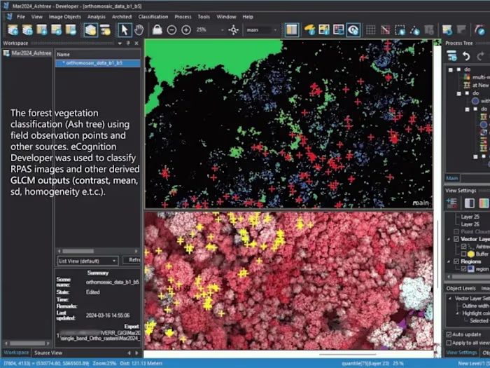Vegetation analysis with OBIA