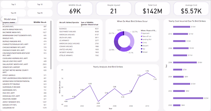 Bird Strikes by Airplane