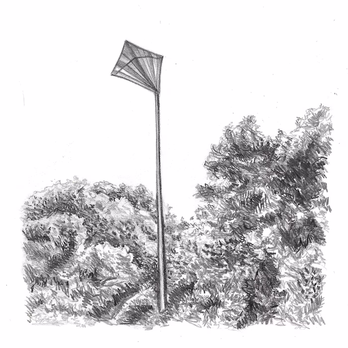 Recording, Mixing, and Mastering for Loop Detail