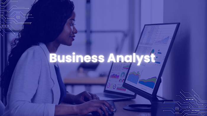 Business Analyst for a Government