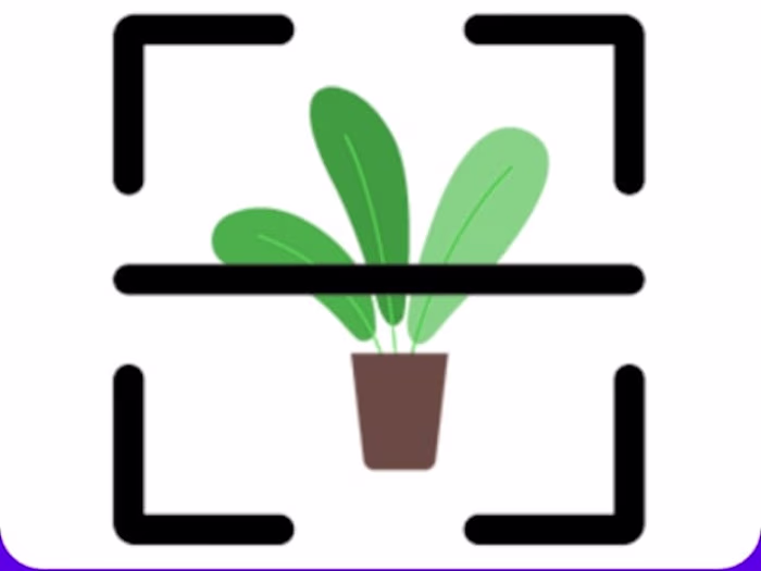 Plant Dieases Detection app