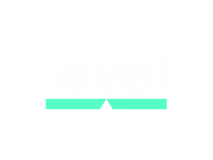 TheLevelGroup