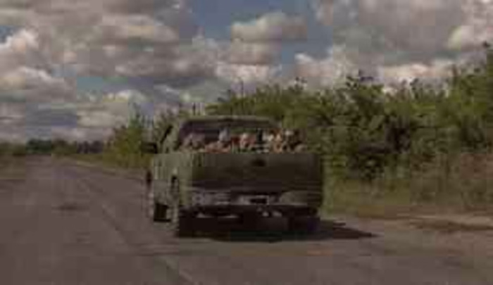 WordPress Malware Removal