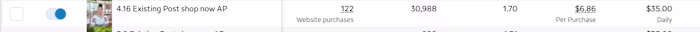 Meta Ads Campaign Generating $20K in Revenue